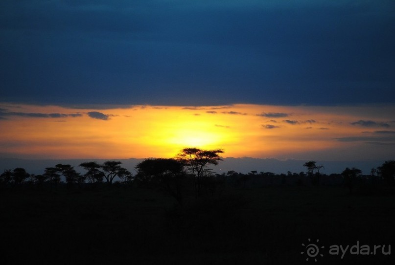 Танзания, Серенгети