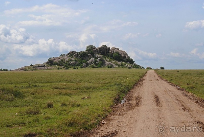 фото Серенгети