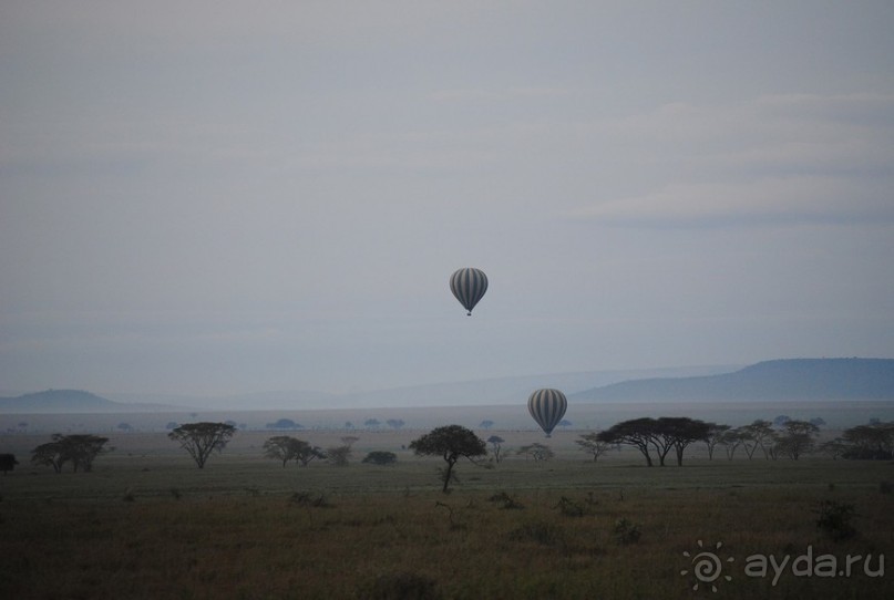 Танзания, Серенгети