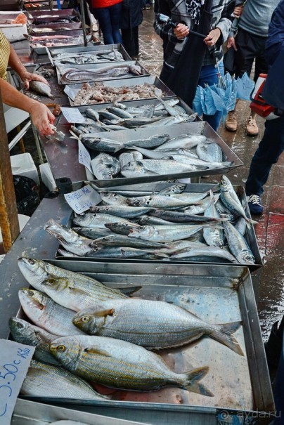 Hop on Malta! Часть 2