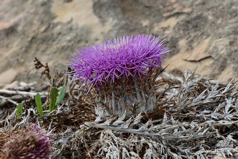 Hop on Malta! Часть 2