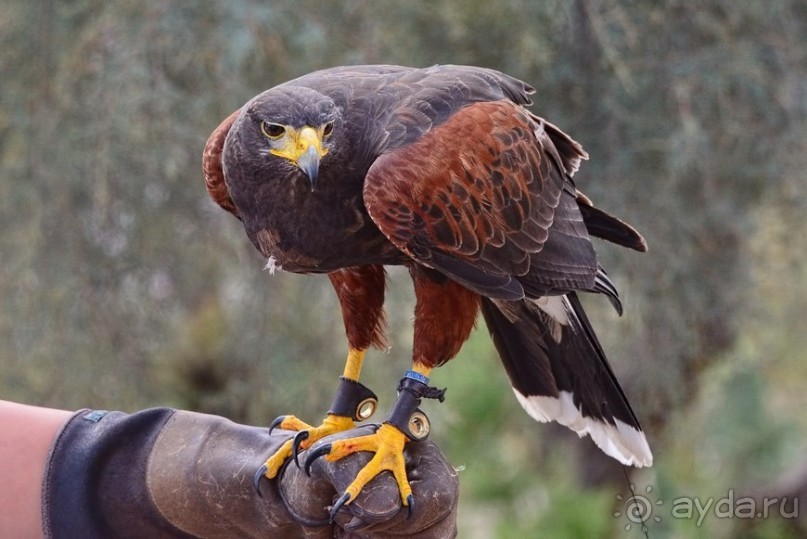 Hop on Malta! Часть 2