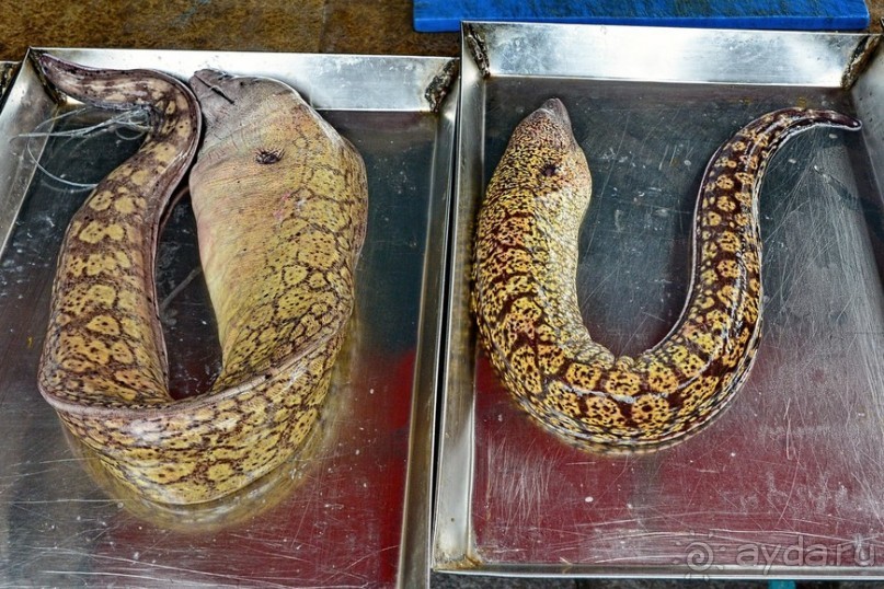 Hop on Malta! Часть 2