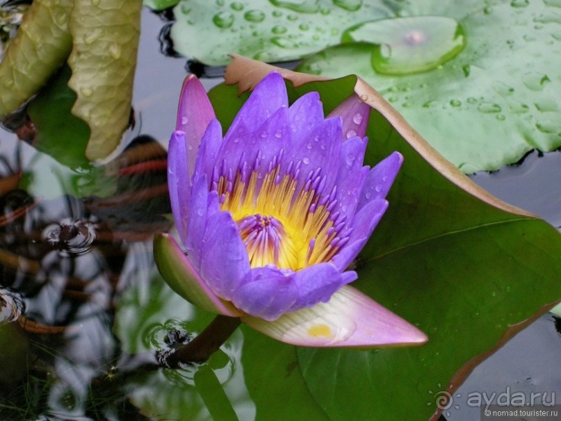 Изрядно подмоченный отчет по Вьетнаму. Часть 5