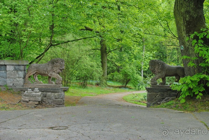 Конопиште. Весенний замок