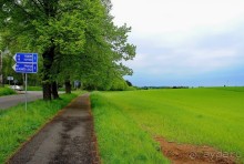 Конопиште. Весенний замок