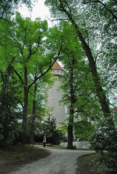 Конопиште. Весенний замок