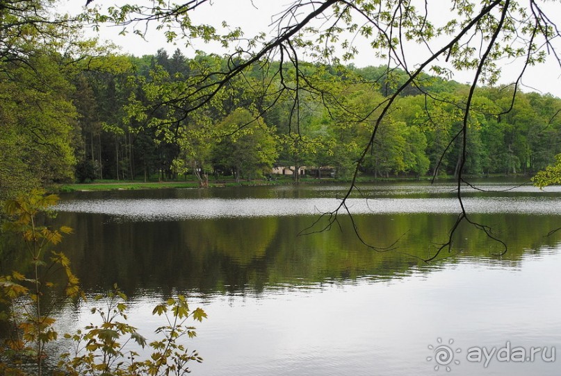 Конопиште. Весенний замок
