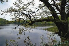 Конопиште. Весенний замок