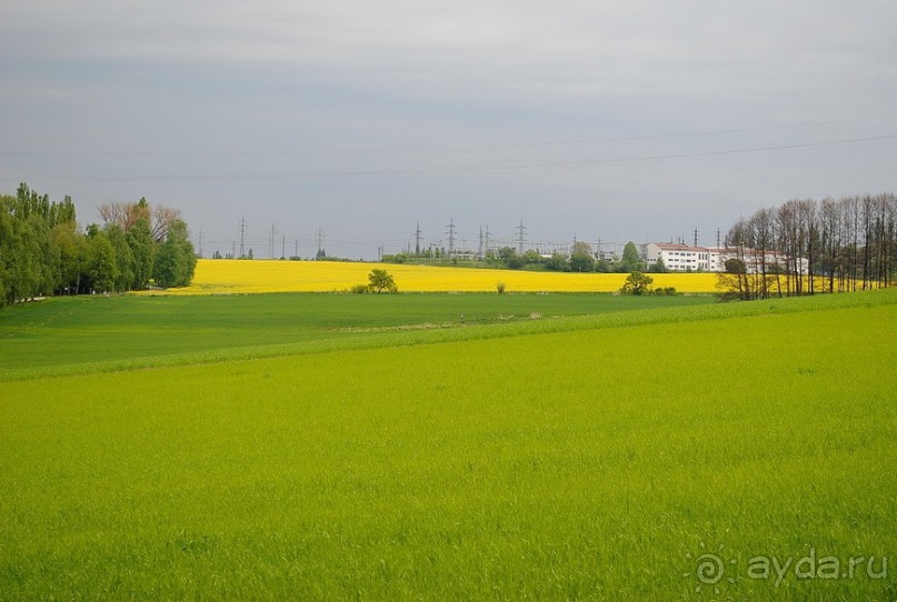 Конопиште. Весенний замок