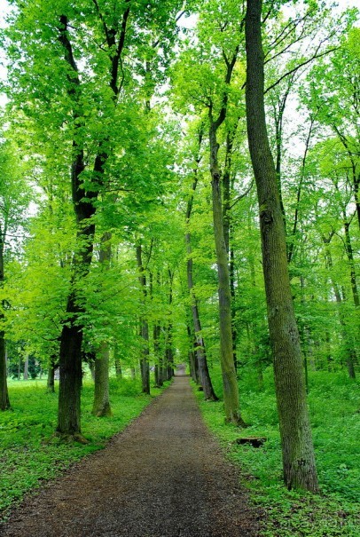 Конопиште. Весенний замок