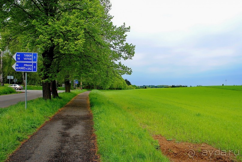 Конопиште. Весенний замок