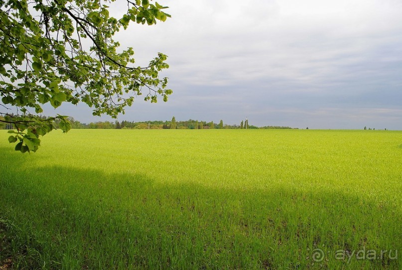 Конопиште. Весенний замок