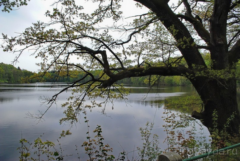 Конопиште. Весенний замок