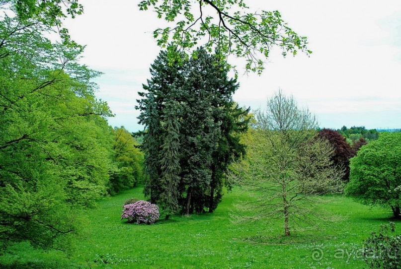 Конопиште. Весенний замок