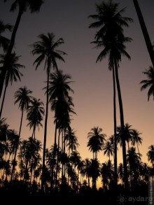 Древние храмы и вечные пляжи. Часть 3