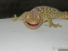 Древние храмы и вечные пляжи. Часть 3