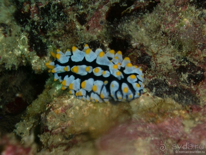 Древние храмы и вечные пляжи. Часть 3