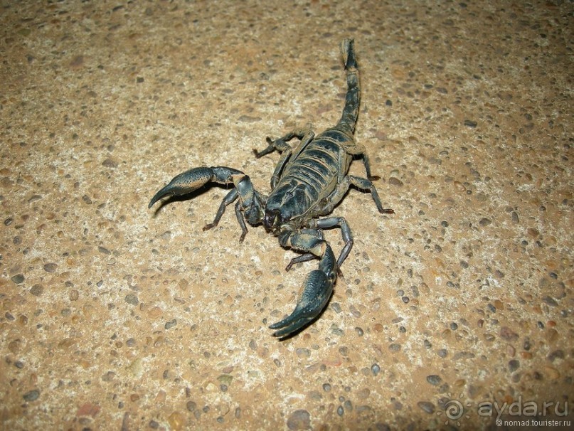 Древние храмы и вечные пляжи. Часть 3