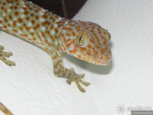 Древние храмы и вечные пляжи. Часть 3