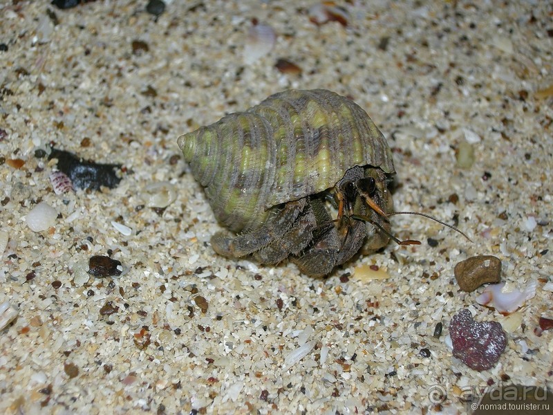 Древние храмы и вечные пляжи. Часть 3