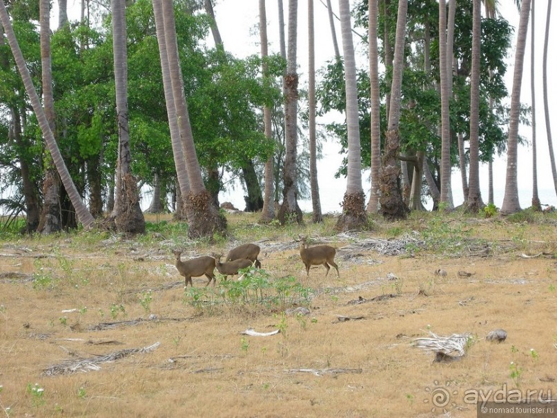 Древние храмы и вечные пляжи. Часть 3