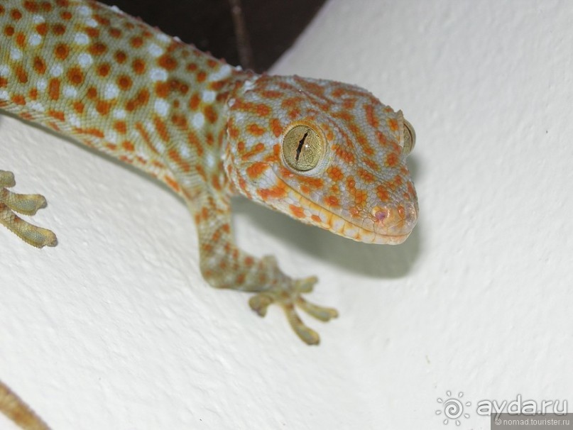 Древние храмы и вечные пляжи. Часть 3