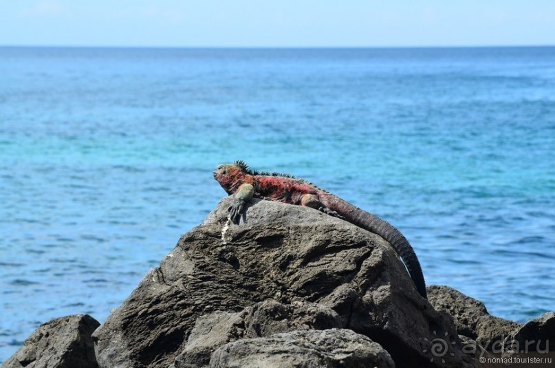 Американские горки (декабрь 2012-январь 2013). Часть 8