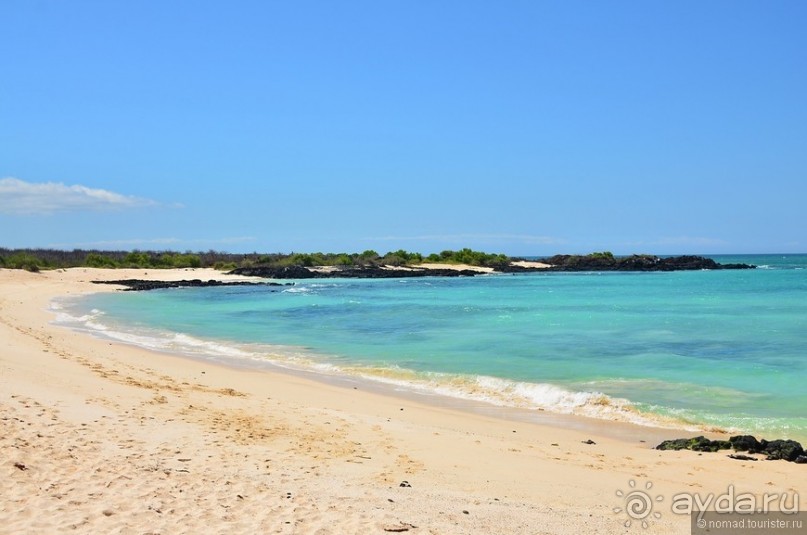 Американские горки (декабрь 2012-январь 2013). Часть 8