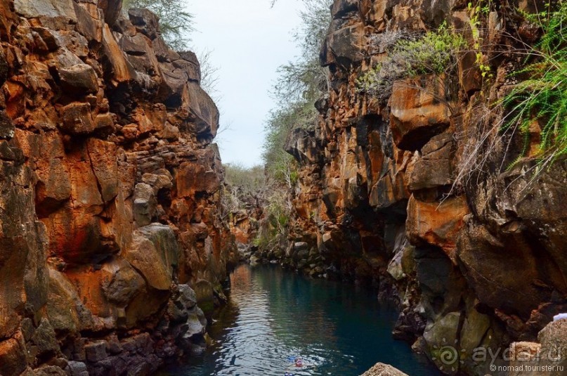 Американские горки (декабрь 2012-январь 2013). Часть 8