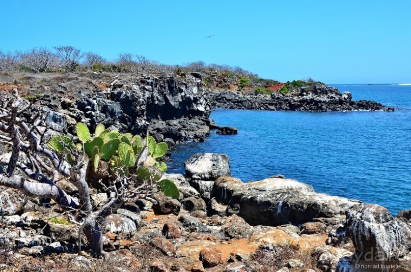 Американские горки (декабрь 2012-январь 2013). Часть 8