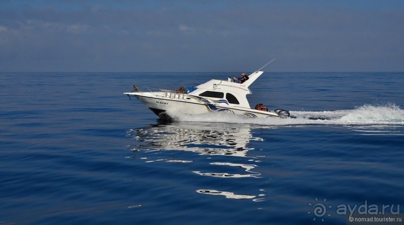 Американские горки (декабрь 2012-январь 2013). Часть 8