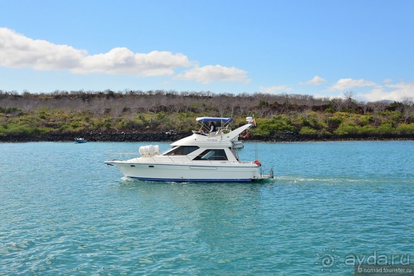 Американские горки (декабрь 2012-январь 2013). Часть 8