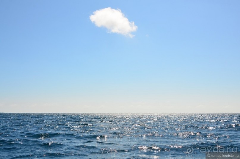 Американские горки (декабрь 2012-январь 2013). Часть 8