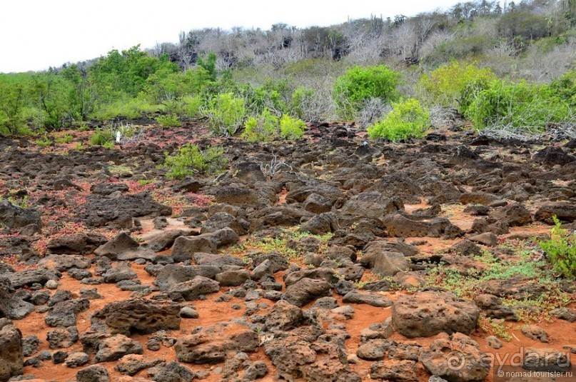 Американские горки (декабрь 2012-январь 2013). Часть 8