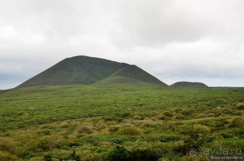 Американские горки (декабрь 2012-январь 2013). Часть 8