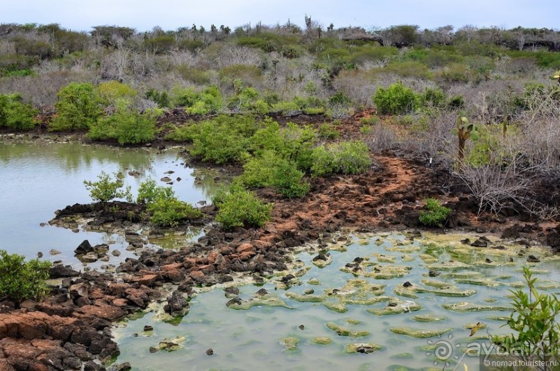Американские горки (декабрь 2012-январь 2013). Часть 8