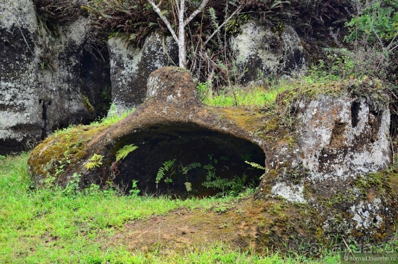 Американские горки (декабрь 2012-январь 2013). Часть 8