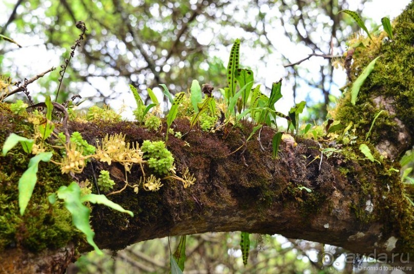Американские горки (декабрь 2012-январь 2013). Часть 8