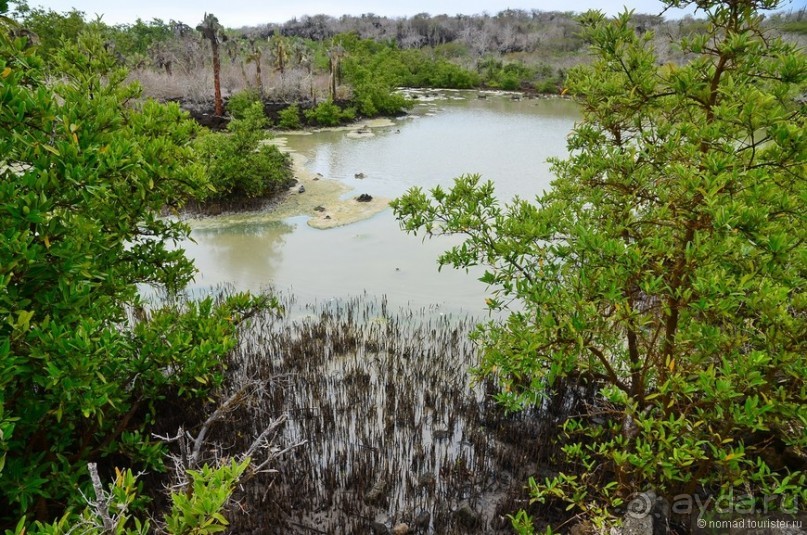 Американские горки (декабрь 2012-январь 2013). Часть 8