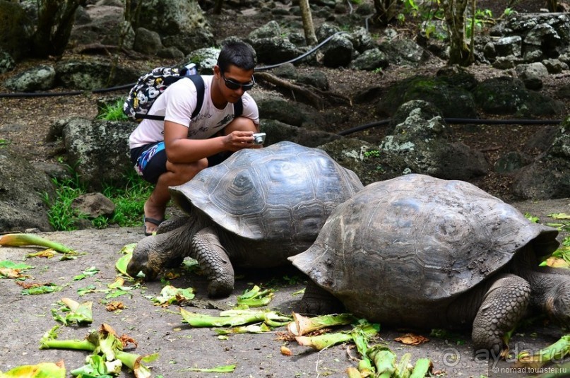 Американские горки (декабрь 2012-январь 2013). Часть 8