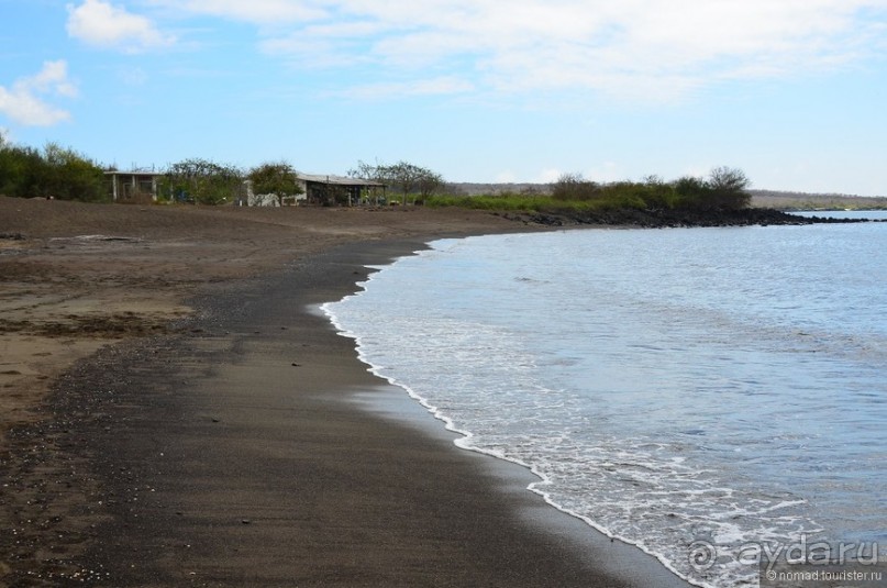 Американские горки (декабрь 2012-январь 2013). Часть 8