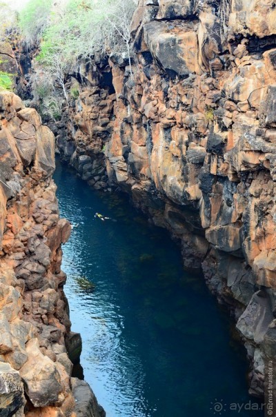 Американские горки (декабрь 2012-январь 2013). Часть 8