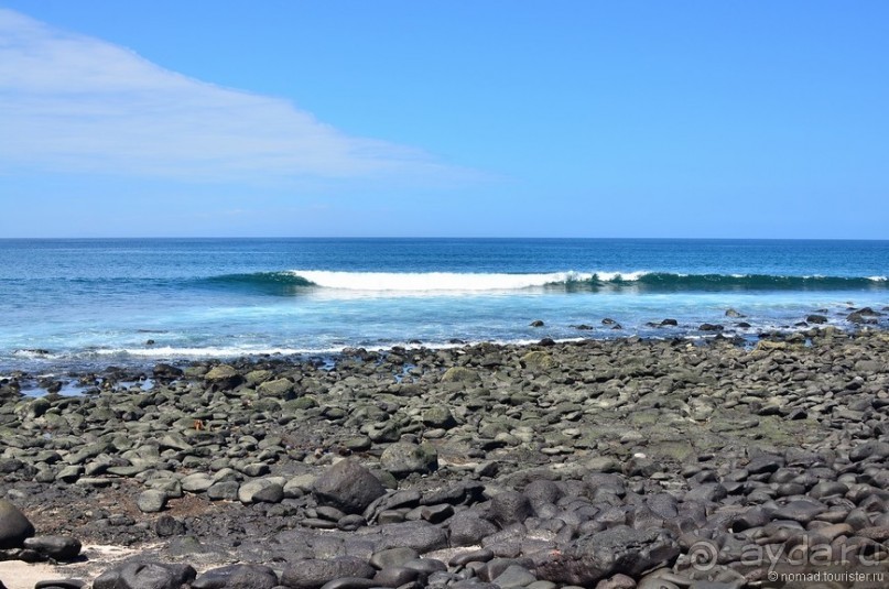 Американские горки (декабрь 2012-январь 2013). Часть 8