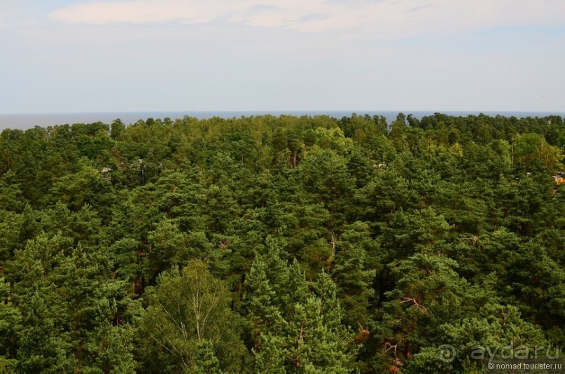 Летняя Юрмала