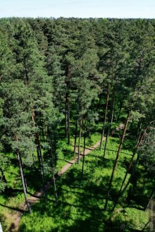 Летняя Юрмала