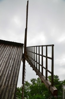 Таллин — чем заняться?