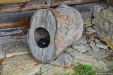 Таллин — чем заняться?