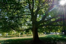 Невиданная Прага