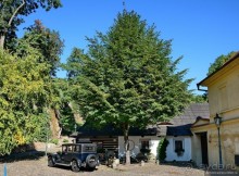 Невиданная Прага